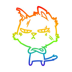 rainbow gradient line drawing tough cartoon cat