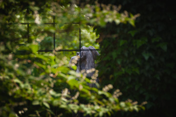 statue through window