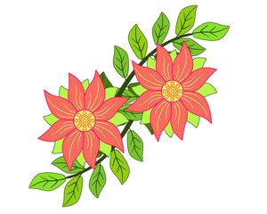Two flowers of coral color with leaves - vector picture. Decoration of flowers and leaves.