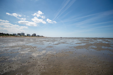 North Sea Coast Mudflat