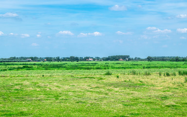 Dutch grass field with polder
