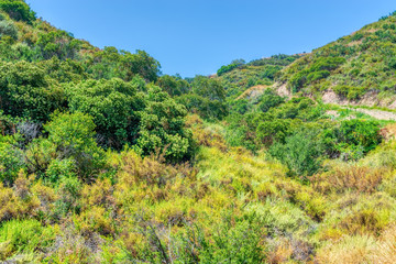 Fototapeta na wymiar early summer dry hillsides in california