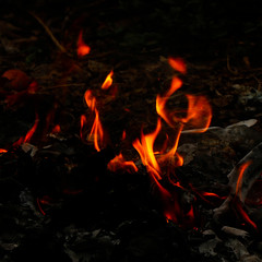 fire flames with dark background