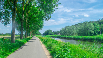 Fototapeta na wymiar Dutch meadow panoramic landscape