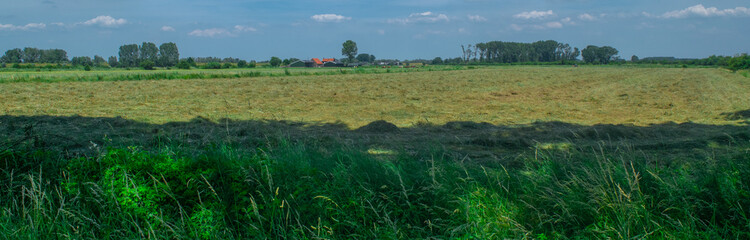 Dutch meadow panoramic landscape