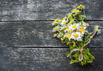 Obraz premium cup of herbal chamomile tea with fresh daisy flowers on wooden background. doctor treatment and prevention of immune concept, medicine - folk, alternative, complementary, traditional medicine 