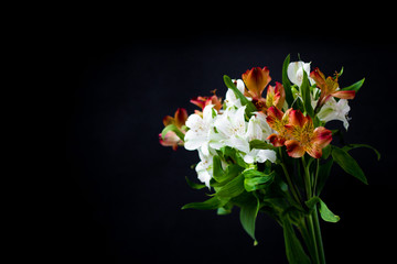 Beautiful flowers Alstroemeria white red maroon