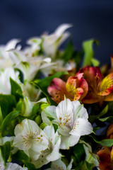 Beautiful flowers Alstroemeria white red maroon