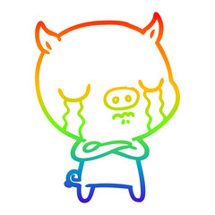 rainbow gradient line drawing cartoon pig crying