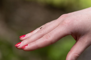 Small tick on human finger, danger of tick's bite