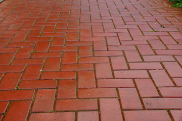 red paving slabs after rain surface abstract