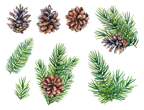 Pine Branch Watercolor Images – Browse 44,335 Stock Photos, Vectors, and  Video