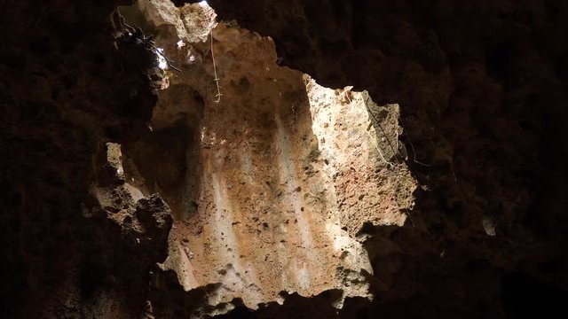 Static shot of details and the light coming in to the Shimoni slave caves, in Kwale, Kenya, Africa