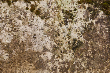 Stained and mossed limestone wall background