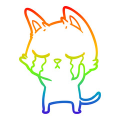 rainbow gradient line drawing crying cartoon cat