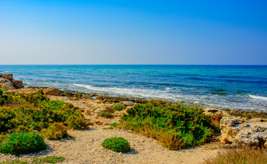 Fototapeta na wymiar Yellow stone beach Ayia Napa with blue clear sea and green plants in the loukkos tou Mandi beach area