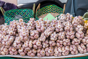 many garlic at sale