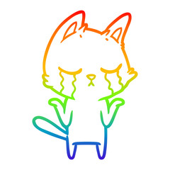 rainbow gradient line drawing crying cartoon cat shrugging