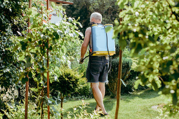 The man sprays plants protecting them from pests. The man has a manual sprayer with pesticides on his back. The concept of taking care of the garden, healthy plants and beautiful flowers.