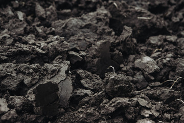 Rich in nutrients black soil ready for planting