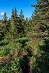 fantastic mountain landscape on a summer day