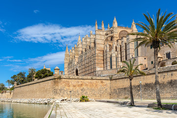 Cathedral of Santa Maria of Palma under blue sky.