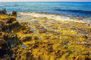 Yellow stone beach Ayia Napa with blue clear sea and green plants in the loukkos tou Mandi beach area