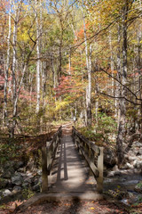 Obraz premium Great Smoky Mountains National Park