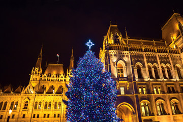Obraz premium Christmas tree against Gothic building facade