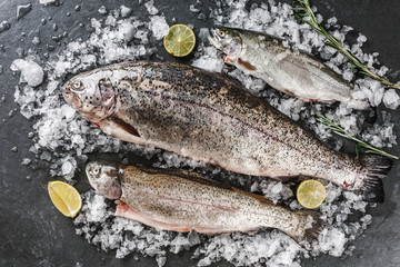 Fresh raw trout fishes with spices, lemon, pepper, rosemary on ice over dark stone background. Creative layout made of fish, top view, flat lay