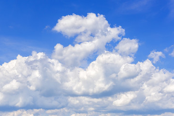 Fototapeta na wymiar Summer sky with fanciful cumulus clouds