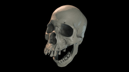 Human skull on Rich Colors a Black Background. The concept of death, horror. A symbol of spooky Halloween. October 31, Сoven, holiday, Graphic resources. 3d rendering illustration. 