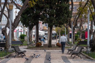 Urban Park in Faro city