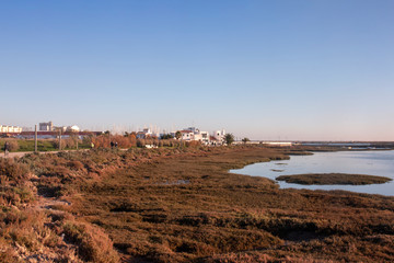 Ria Formosa marshlands