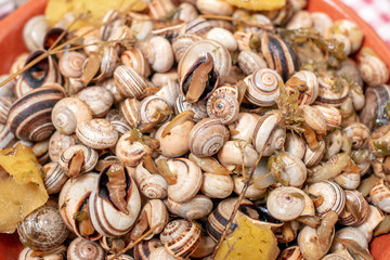Traditional dish of cooked snails