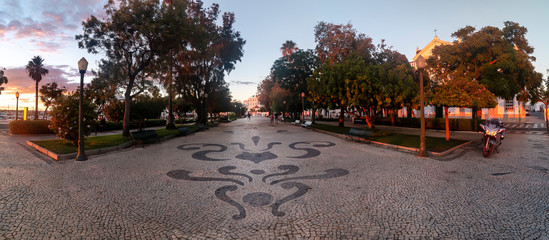 Garden Manuel Bivar