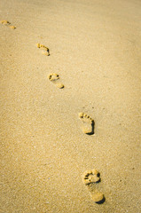 Steps in the sand on the shore of the Pacific Ocean