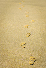 Steps in the sand on the shore of the Pacific Ocean