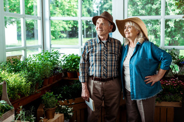 Fototapeta premium selective focus of happy senior woman standing with hand on hip near husband