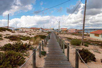 sand dunes shoreline