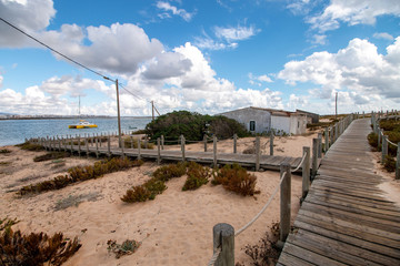 sand dunes shoreline