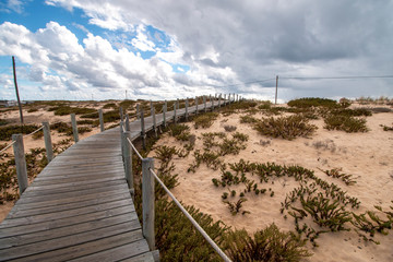Fototapeta na wymiar sand dunes shoreline
