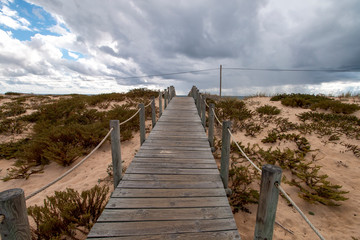 Obraz premium wooden path to beach