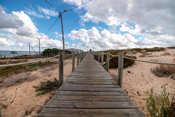 sand dunes shoreline