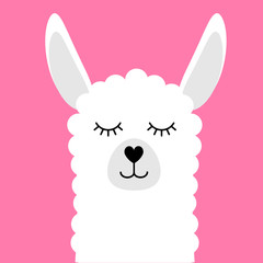 Vector flat cartoon llama face isolated on pink background