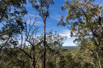 Glass House Mountains &ndash; Mount Beerburrum Summit Walk