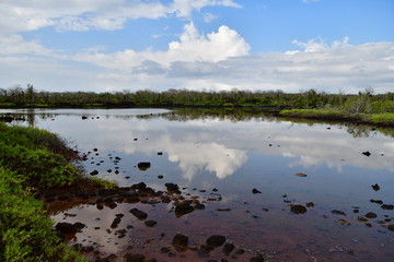 PAISAJE, GALÁPAGOS