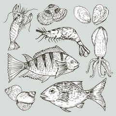 Set of hand drawn seafood, Healthy food drawings set elements for menu design. Vector illustration.