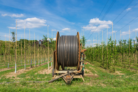 Hose Reel Farm Irrigation Stock Illustrations – 18 Hose Reel Farm  Irrigation Stock Illustrations, Vectors & Clipart - Dreamstime