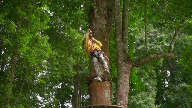 Slowmotion shot of a little boy in a safety harness climbs on a zipline in treetops in a forest adventure park.Outdoor amusement center with climbing activities consisting of zip lines and all sorts